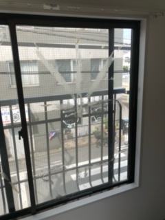 透明網入りガラス