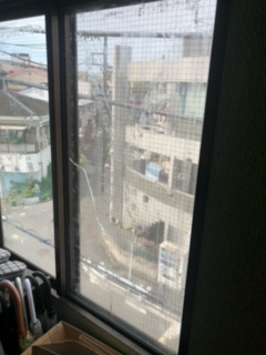 透明網入りガラス